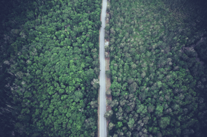 Infostatus image Service - Data Analytics AI (2)